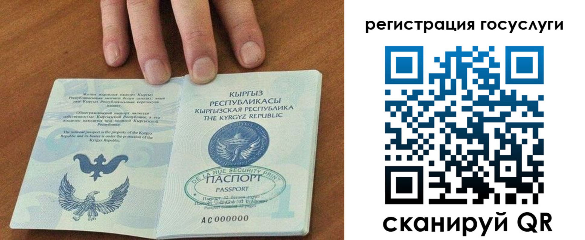 прописка ребенка в Северной Осетии